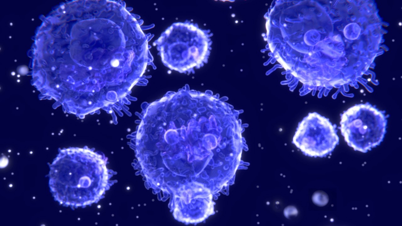 How MS affects the immune system